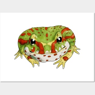 Ceratophrys cranwelli - Pacman frog Posters and Art